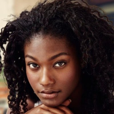 extension cheveux afrotwist noir naturel